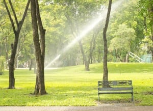 Photo of a green park with trees and a bench while a sprinkler waters the grass